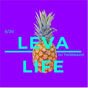 Leva Life - cover art